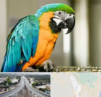 داروخانه شبانه روزی پرندگان در اندیمشک