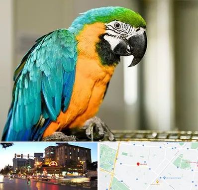 داروخانه شبانه روزی پرندگان در بلوار سجاد مشهد