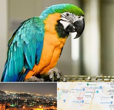 داروخانه شبانه روزی پرندگان در مارلیک کرج