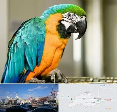 داروخانه شبانه روزی پرندگان در ماهدشت کرج