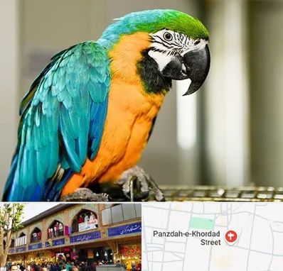 داروخانه شبانه روزی پرندگان در 15 خرداد