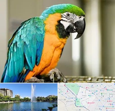 داروخانه شبانه روزی پرندگان در کوهسنگی مشهد