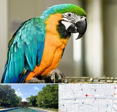 داروخانه شبانه روزی پرندگان در هشت بهشت اصفهان