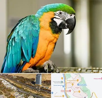 داروخانه شبانه روزی پرندگان در خیابان نیایش شیراز