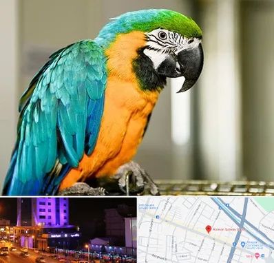 داروخانه شبانه روزی پرندگان در آبرسان تبریز