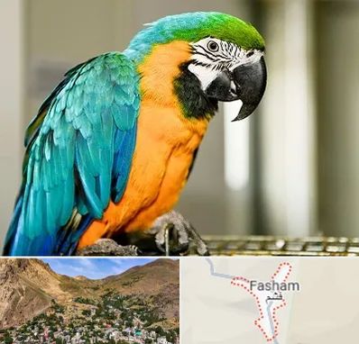 داروخانه شبانه روزی پرندگان در فشم