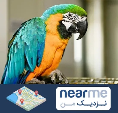 داروخانه شبانه روزی پرندگان در نزدیک من