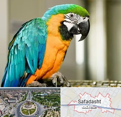 داروخانه شبانه روزی پرندگان در صفادشت