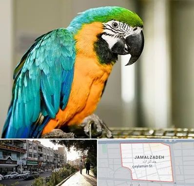 داروخانه شبانه روزی پرندگان در خیابان جمالزاده