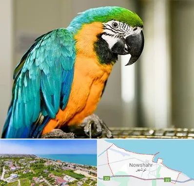 داروخانه شبانه روزی پرندگان در نوشهر