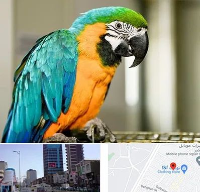 داروخانه شبانه روزی پرندگان در چهارراه طالقانی کرج