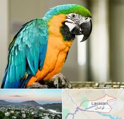 داروخانه شبانه روزی پرندگان در لواسان