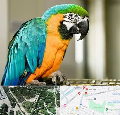 داروخانه شبانه روزی پرندگان در سالاریه قم