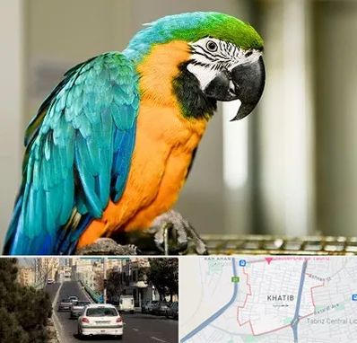 داروخانه شبانه روزی پرندگان در خطیب تبریز