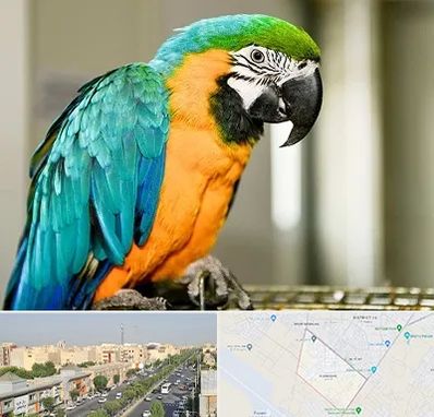 داروخانه شبانه روزی پرندگان در کیانمهر کرج