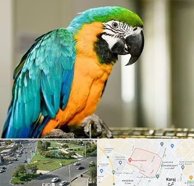 داروخانه شبانه روزی پرندگان در شاهین ویلا کرج