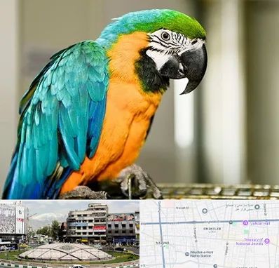 داروخانه شبانه روزی پرندگان در مرکز تهران