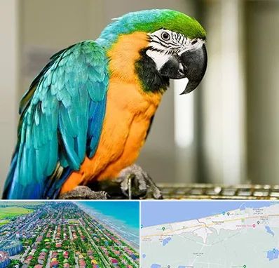 داروخانه شبانه روزی پرندگان در فریدونکنار