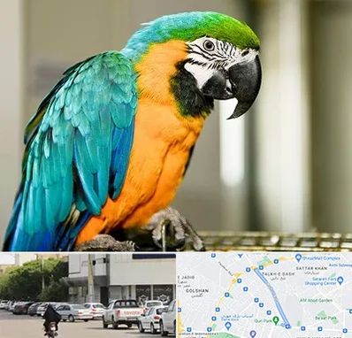 داروخانه شبانه روزی پرندگان در قدوسی شرقی شیراز