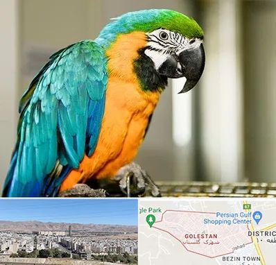 داروخانه شبانه روزی پرندگان در شهرک گلستان شیراز