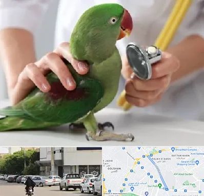 درمانگاه شبانه روزی پرندگان در قدوسی شرقی شیراز