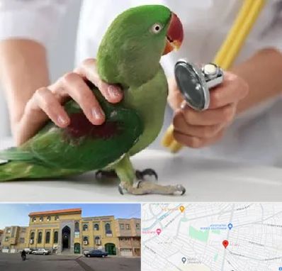 درمانگاه شبانه روزی پرندگان در زنبیل آباد قم