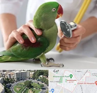 درمانگاه شبانه روزی پرندگان در جهانشهر کرج 