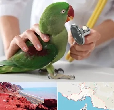 درمانگاه شبانه روزی پرندگان در هرمزگان