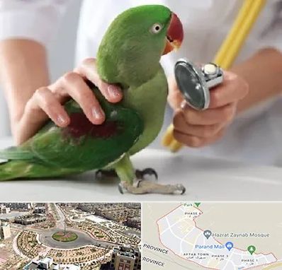 درمانگاه شبانه روزی پرندگان در پرند