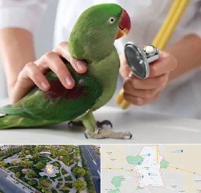 درمانگاه شبانه روزی پرندگان در کاشمر