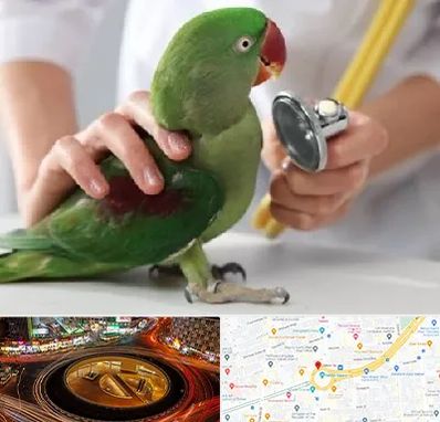 درمانگاه شبانه روزی پرندگان در میدان ولیعصر 