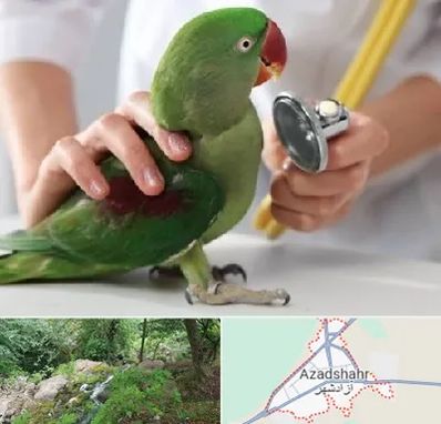 درمانگاه شبانه روزی پرندگان در آزادشهر