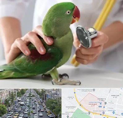 درمانگاه شبانه روزی پرندگان در گلشهر کرج