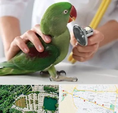 درمانگاه شبانه روزی پرندگان در وکیل آباد مشهد