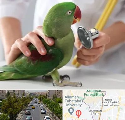 درمانگاه شبانه روزی پرندگان در شهران 