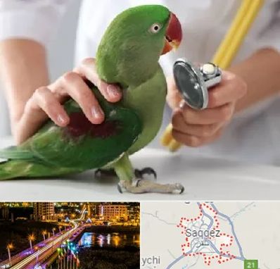 درمانگاه شبانه روزی پرندگان در سقز