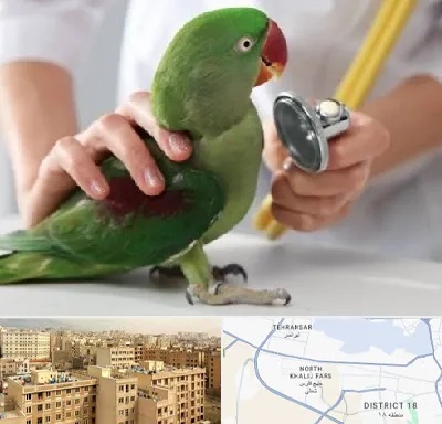 درمانگاه شبانه روزی پرندگان در جنوب غرب تهران