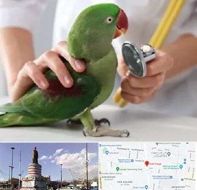 درمانگاه شبانه روزی پرندگان در کارگر جنوبی 