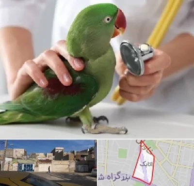 درمانگاه شبانه روزی پرندگان در اتابک