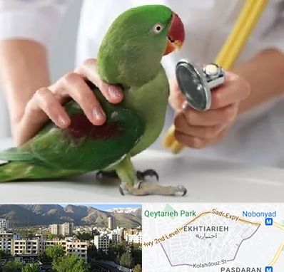 درمانگاه شبانه روزی پرندگان در اختیاریه 