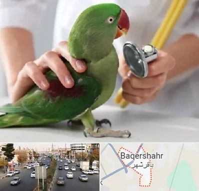 درمانگاه شبانه روزی پرندگان در باقرشهر