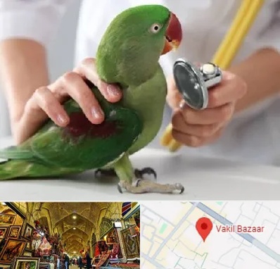 درمانگاه شبانه روزی پرندگان در بازار وکیل شیراز