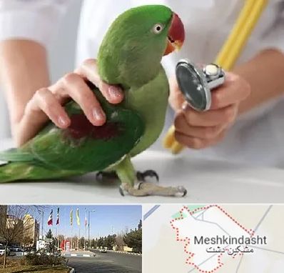 درمانگاه شبانه روزی پرندگان در مشکین دشت