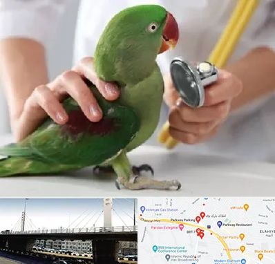 درمانگاه شبانه روزی پرندگان در پارک وی 