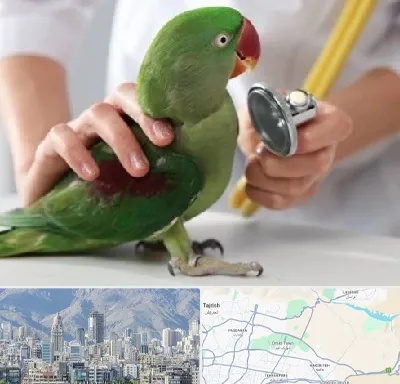 درمانگاه شبانه روزی پرندگان در شمال شرق تهران