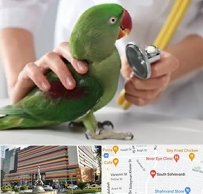 درمانگاه شبانه روزی پرندگان در سهروردی 