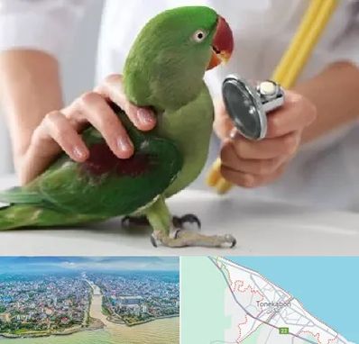 درمانگاه شبانه روزی پرندگان در تنکابن