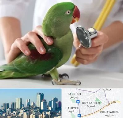 درمانگاه شبانه روزی پرندگان در قیطریه 