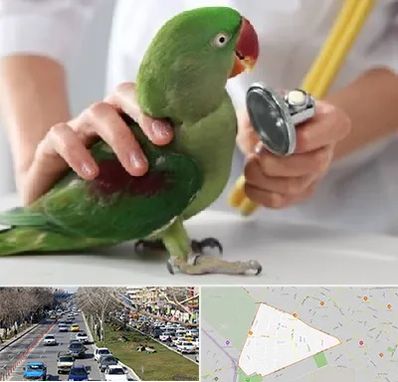 درمانگاه شبانه روزی پرندگان در احمدآباد مشهد