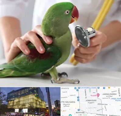 درمانگاه شبانه روزی پرندگان در جمهوری 